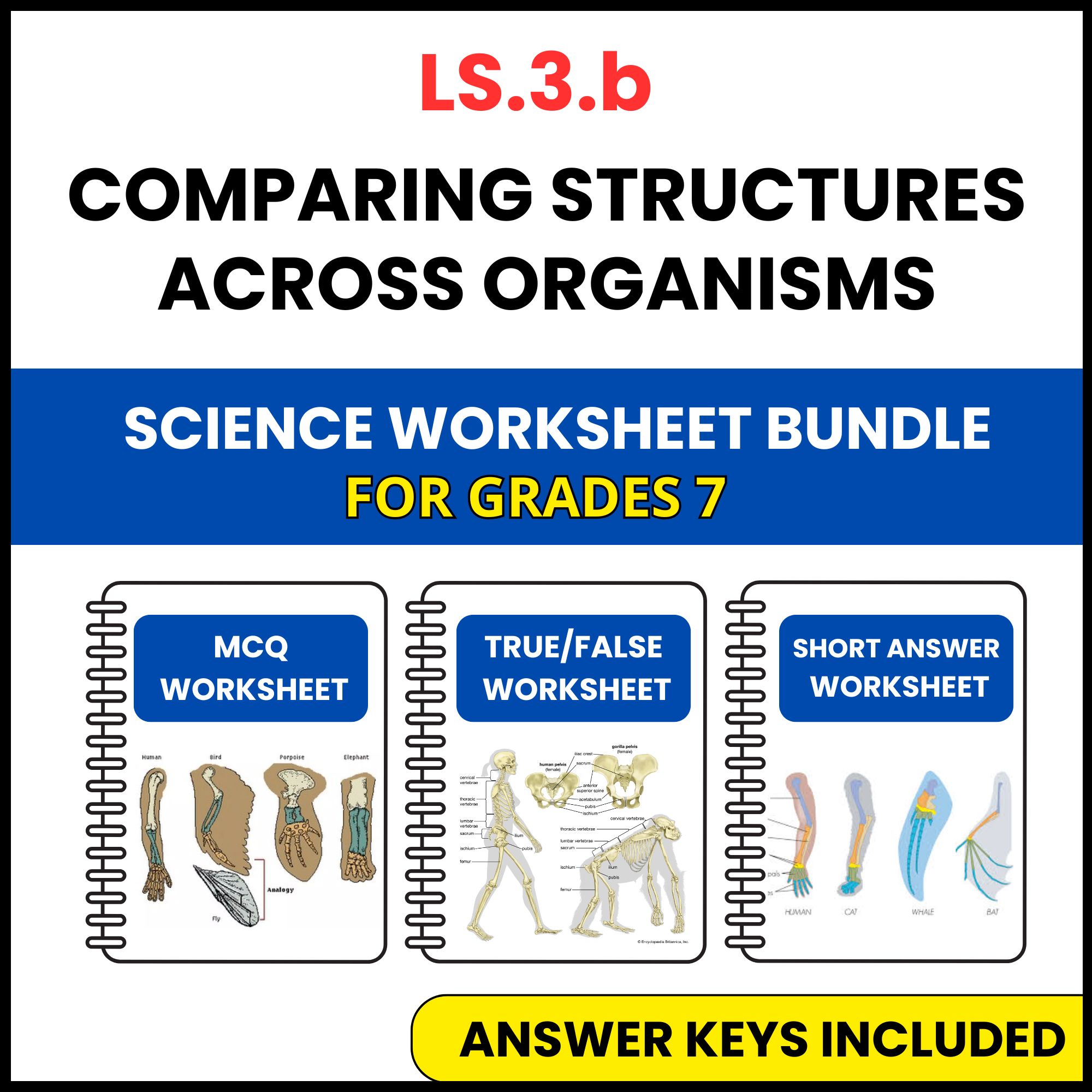 VA SOL Life Science | Structures Across Organisms | 3 Worksheets | Grade 7
