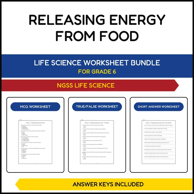 MS NGSS Life Science | Releasing Energy from Food | 3 Worksheets | Grade 6