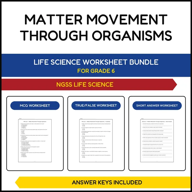 MS NGSS Life Science | Matter Movement Through | 3 Worksheets | Grade 6