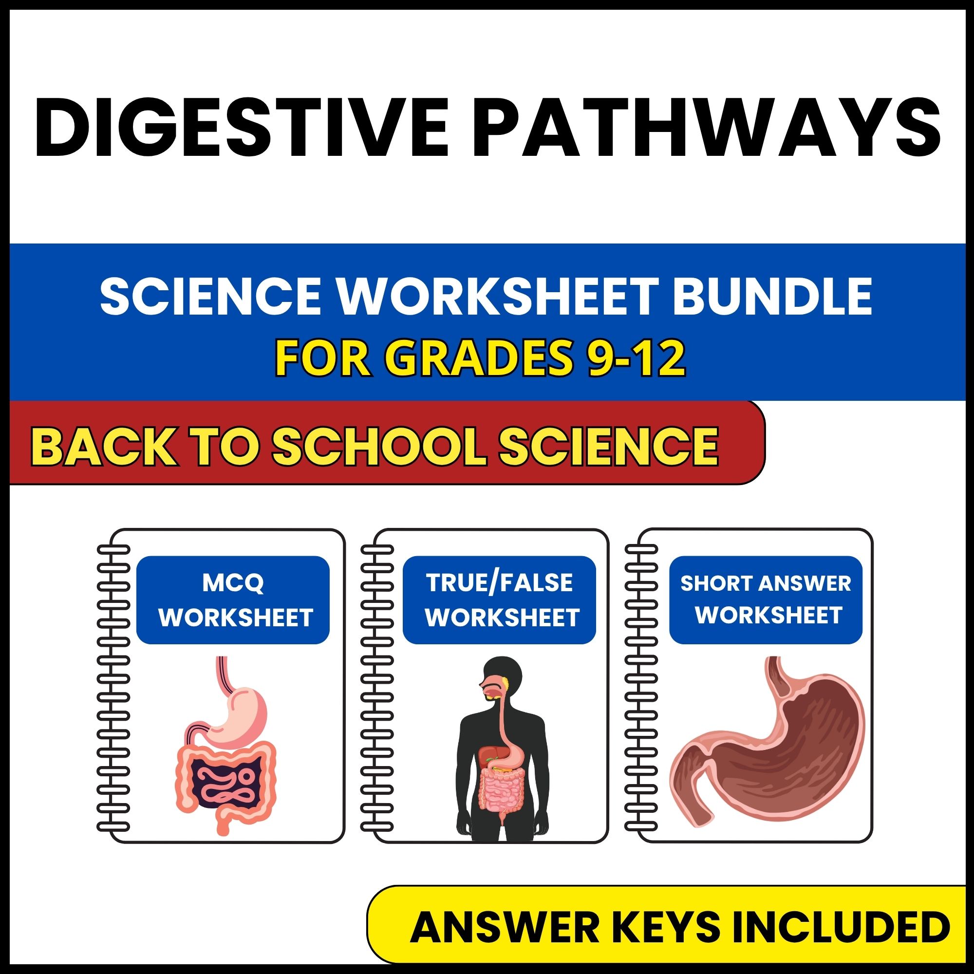 Back to School | Digestive Pathways | 3 Worksheets | Grade 9-12
